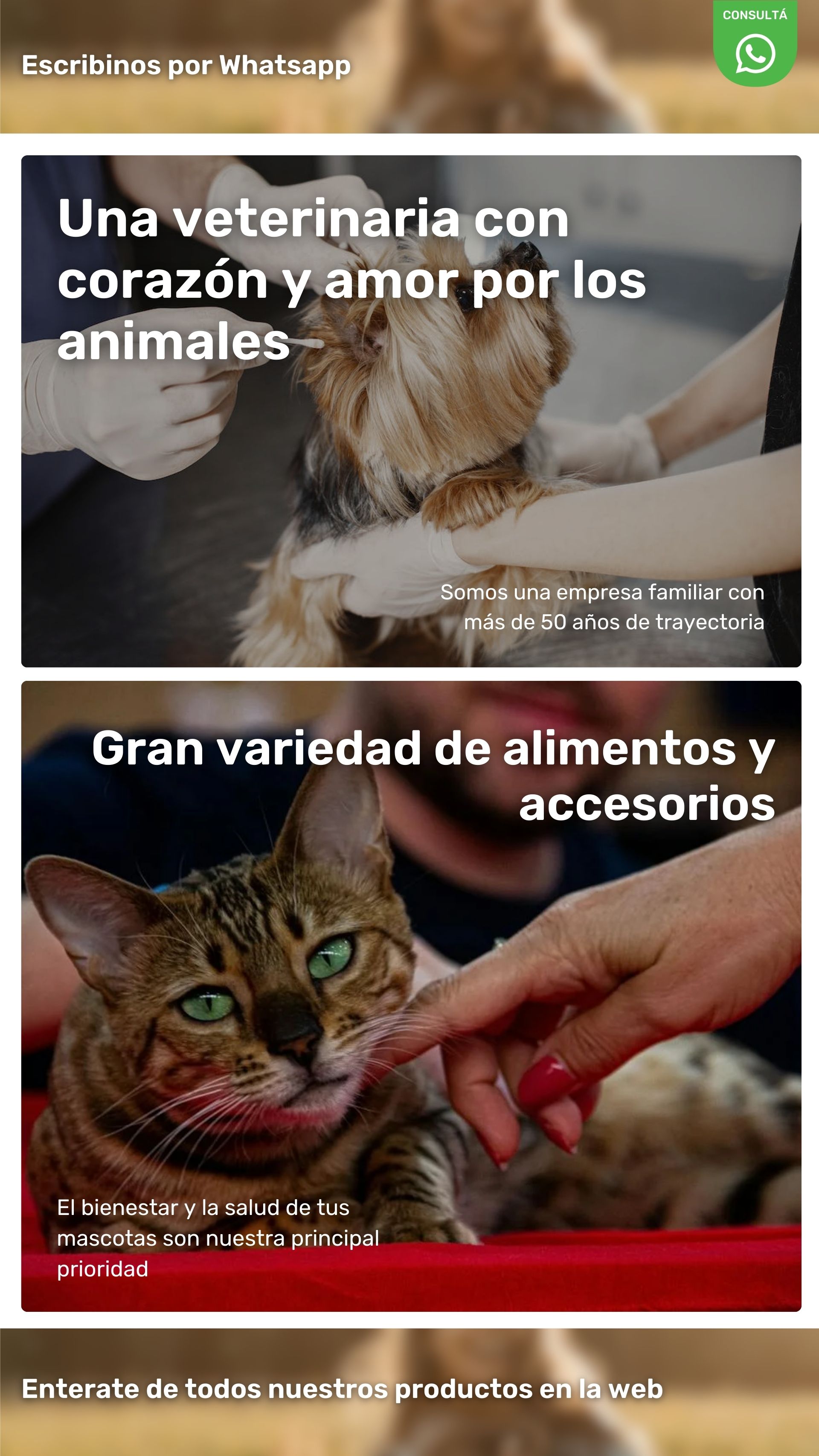 Imagen de página oficial