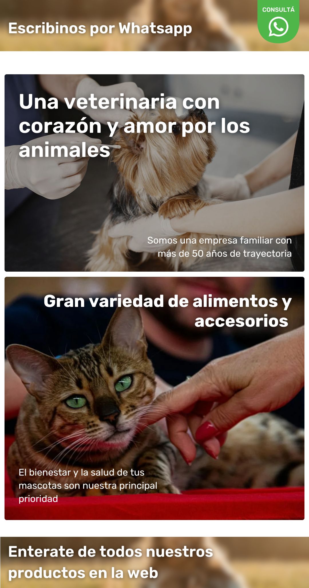 Imagen de página oficial