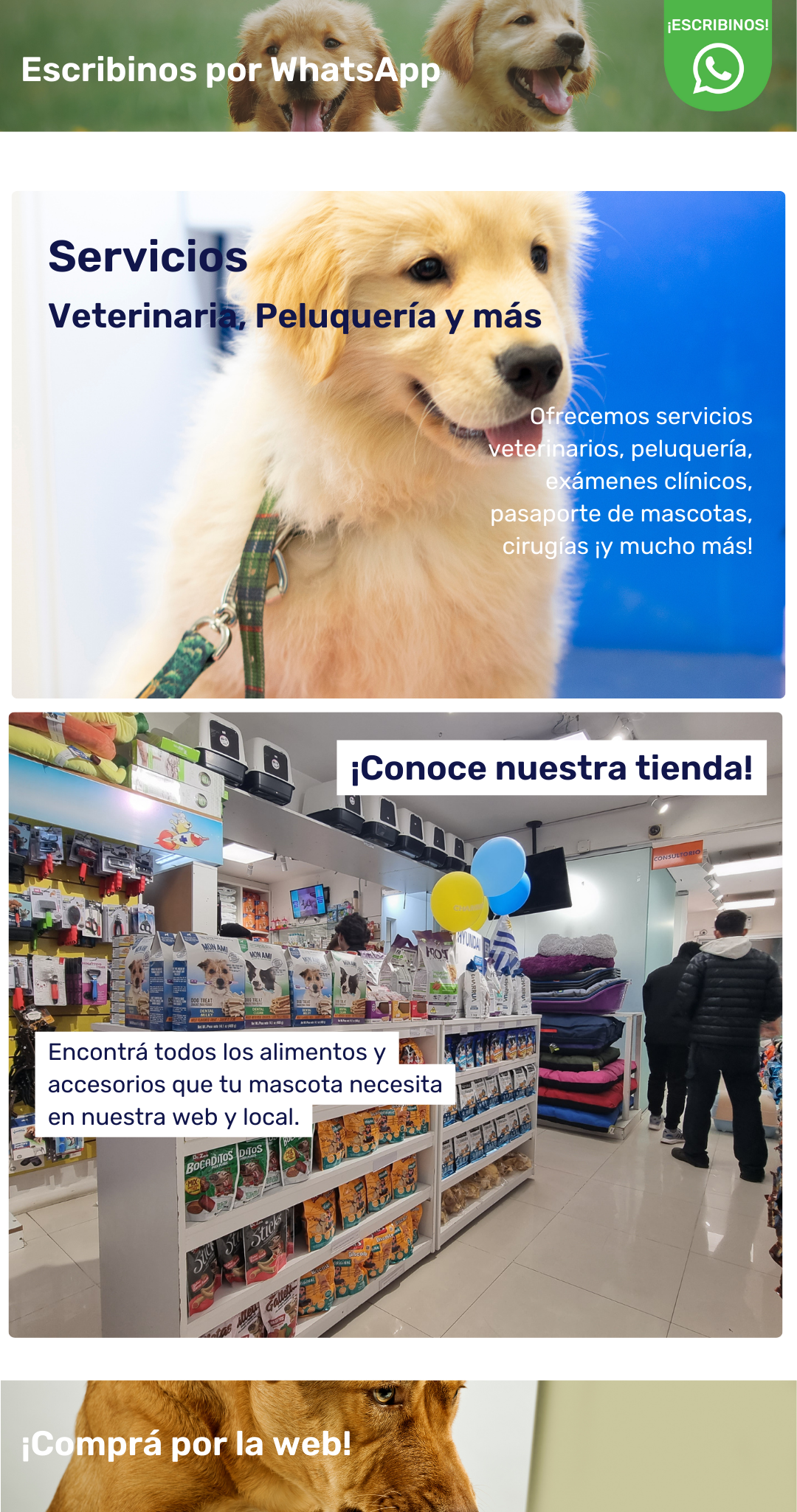 Imagen de página oficial